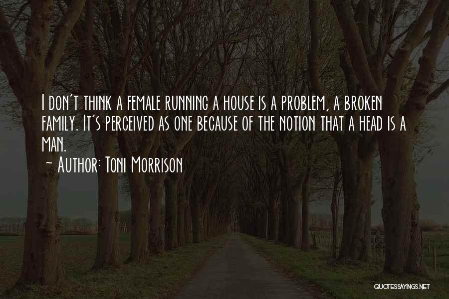 Family Problem Quotes By Toni Morrison
