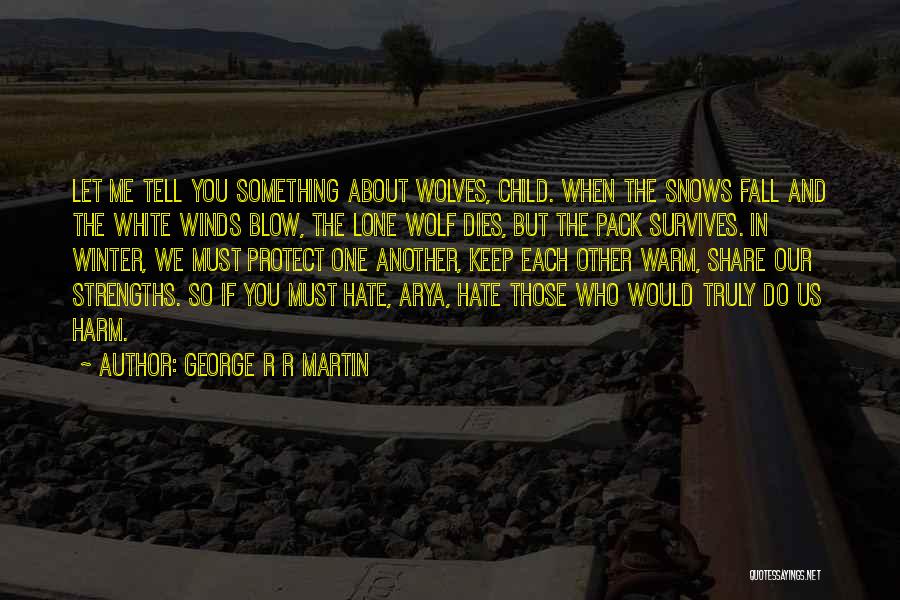 Family Protect Quotes By George R R Martin