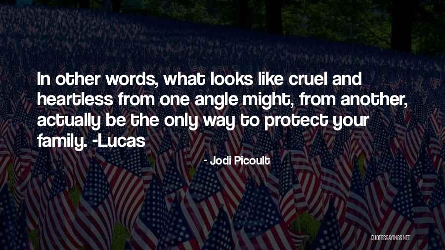 Family Protect Quotes By Jodi Picoult