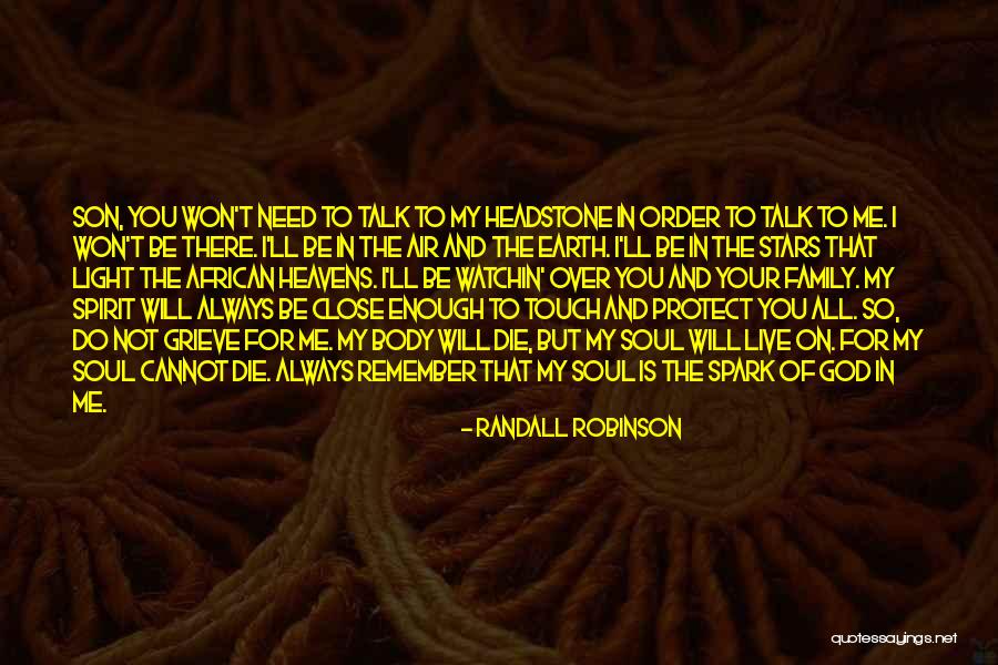 Family Protect Quotes By Randall Robinson