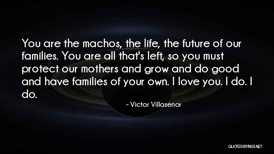 Family Protect Quotes By Victor Villasenor