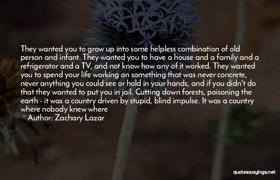 Family Put Down Quotes By Zachary Lazar