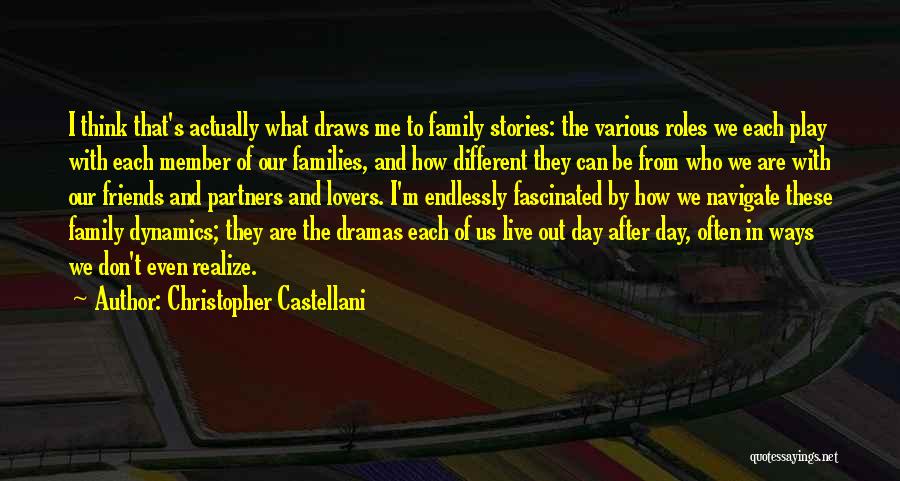 Family Roles Quotes By Christopher Castellani