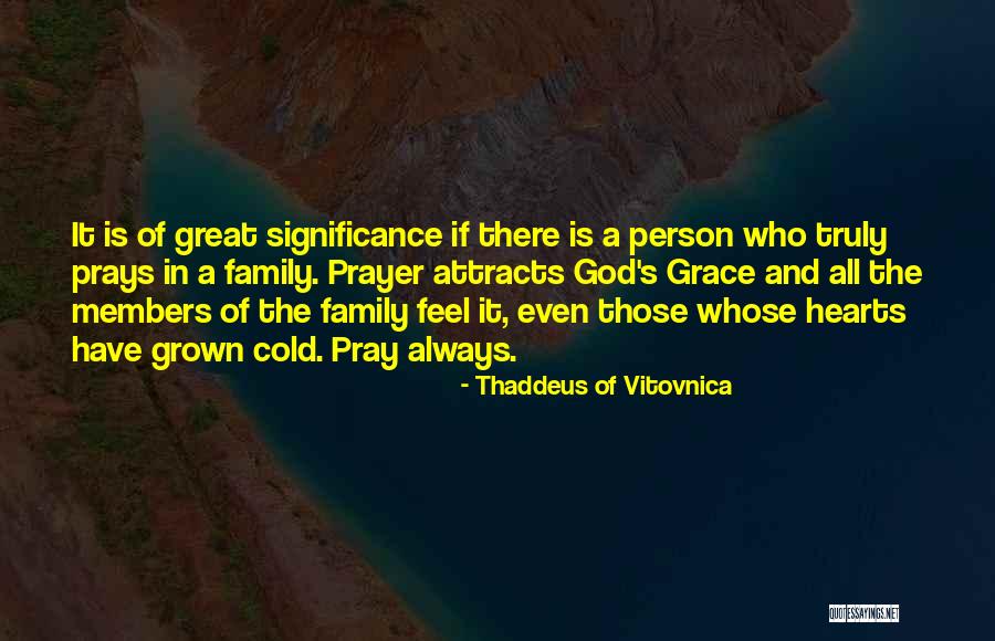 Family Significance Quotes By Thaddeus Of Vitovnica