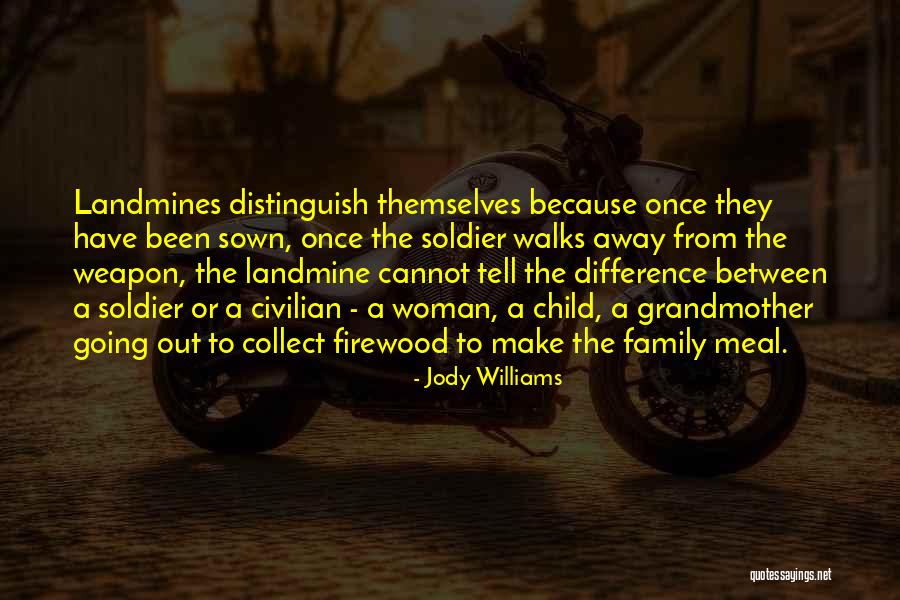 Family So Far Away Quotes By Jody Williams Family So Far Away Quotes By Jody Williams
