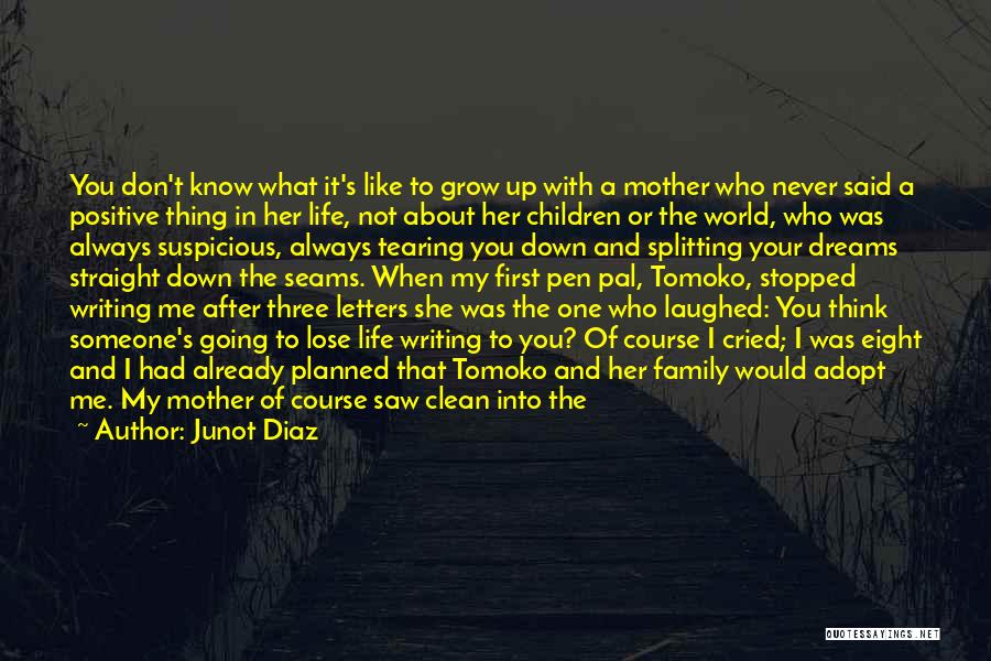 Family Splitting Up Quotes By Junot Diaz