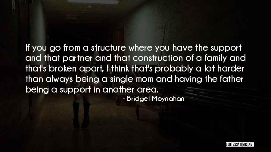 Family Structure Quotes By Bridget Moynahan