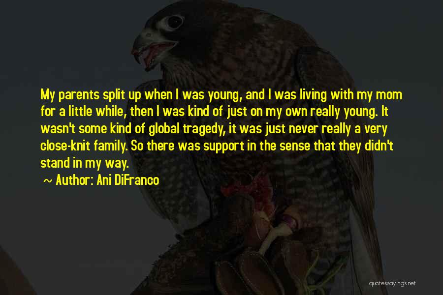 Family Support Quotes By Ani DiFranco