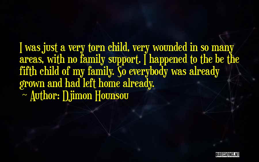 Family Support Quotes By Djimon Hounsou