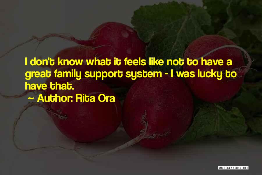 Family Support System Quotes By Rita Ora