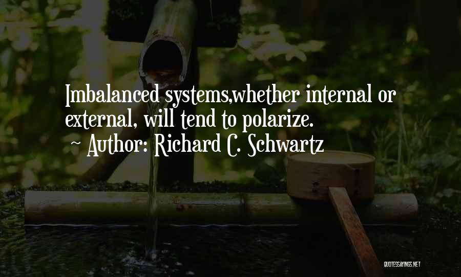 Family Systems Therapy Quotes By Richard C. Schwartz
