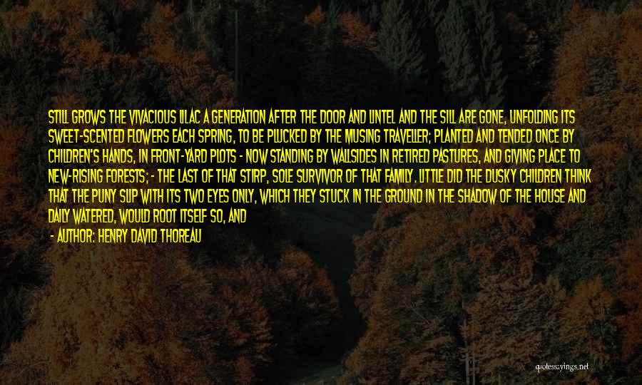 Family That Died Quotes By Henry David Thoreau