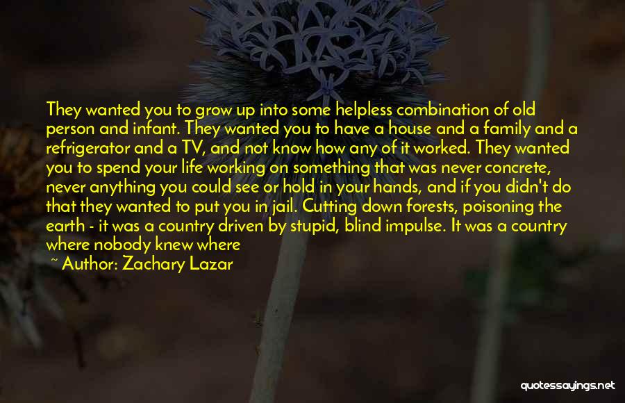 Family That Put You Down Quotes By Zachary Lazar