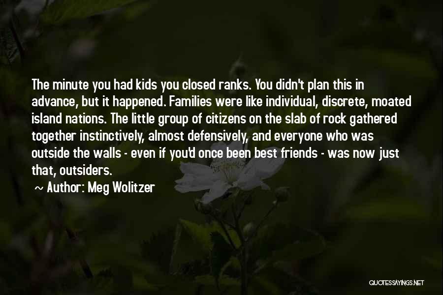 Family The Outsiders Quotes By Meg Wolitzer