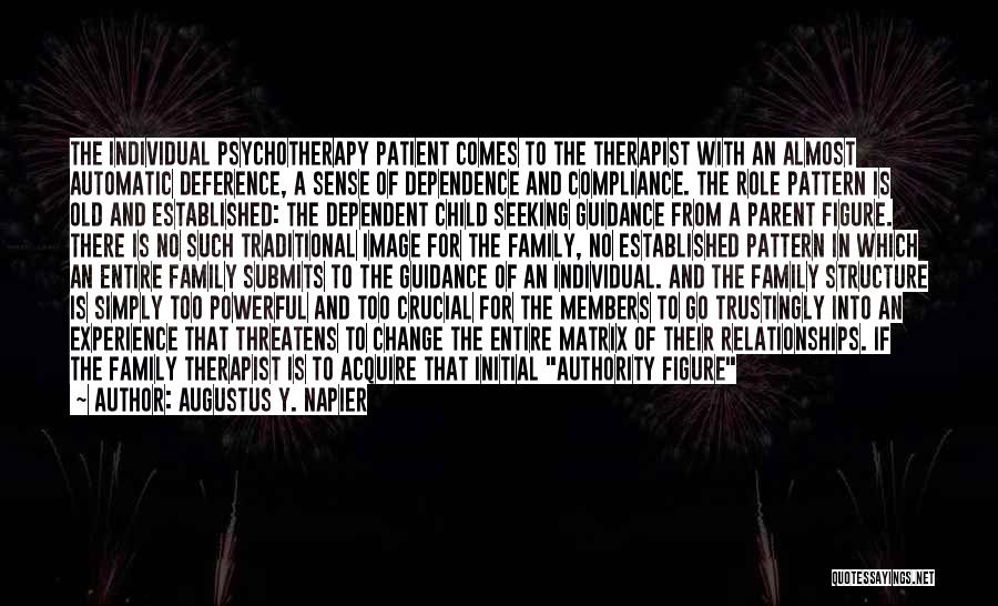 Family Therapist Quotes By Augustus Y. Napier