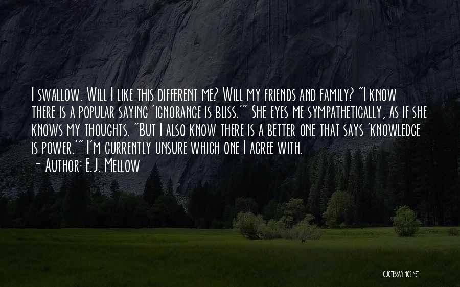 Family Thoughts Quotes By E.J. Mellow