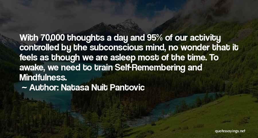 Family Thoughts Quotes By Natasa Nuit Pantovic