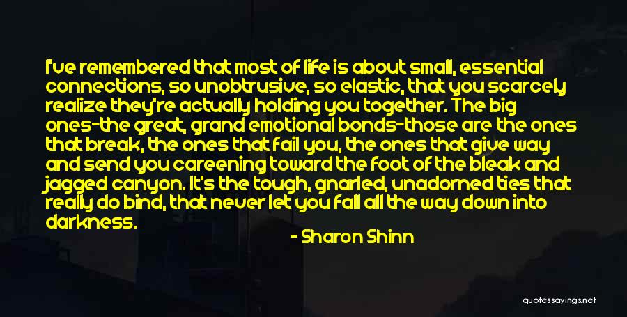 Family Ties That Bind Quotes By Sharon Shinn