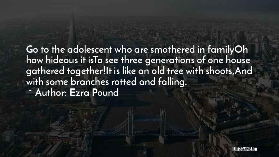 Family Tree Quotes By Ezra Pound