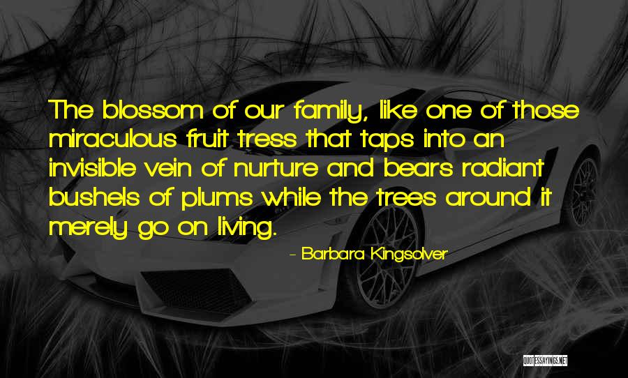 Family Trees Quotes By Barbara Kingsolver Family Trees Quotes By Barbara Kingsolver