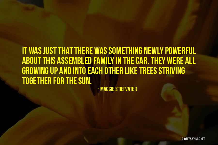 Family Trees Quotes By Maggie Stiefvater Family Trees Quotes By Maggie Stiefvater