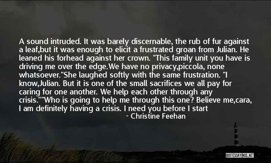 Family Unit Quotes By Christine Feehan