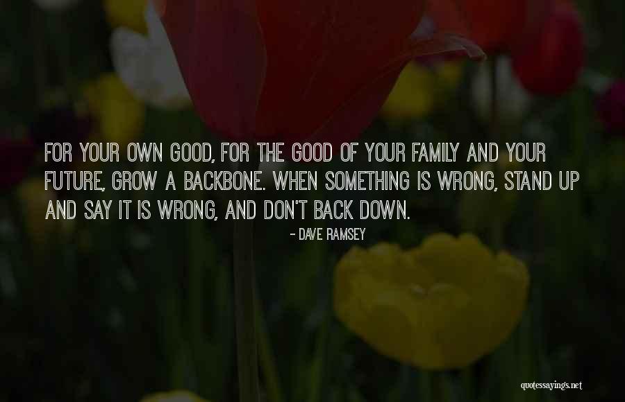 Family Up And Down Quotes By Dave Ramsey