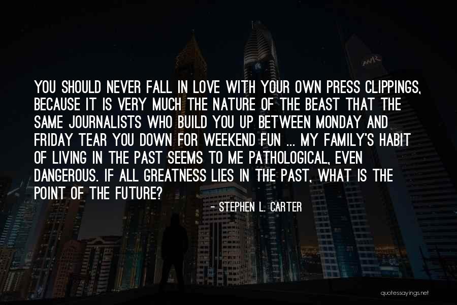 Family Up And Down Quotes By Stephen L. Carter