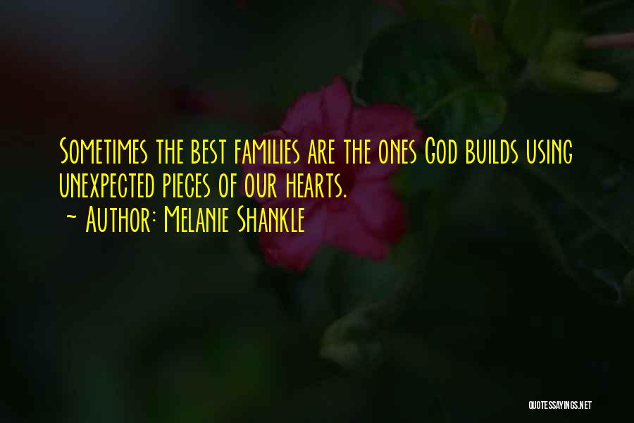 Family Using You Quotes By Melanie Shankle
