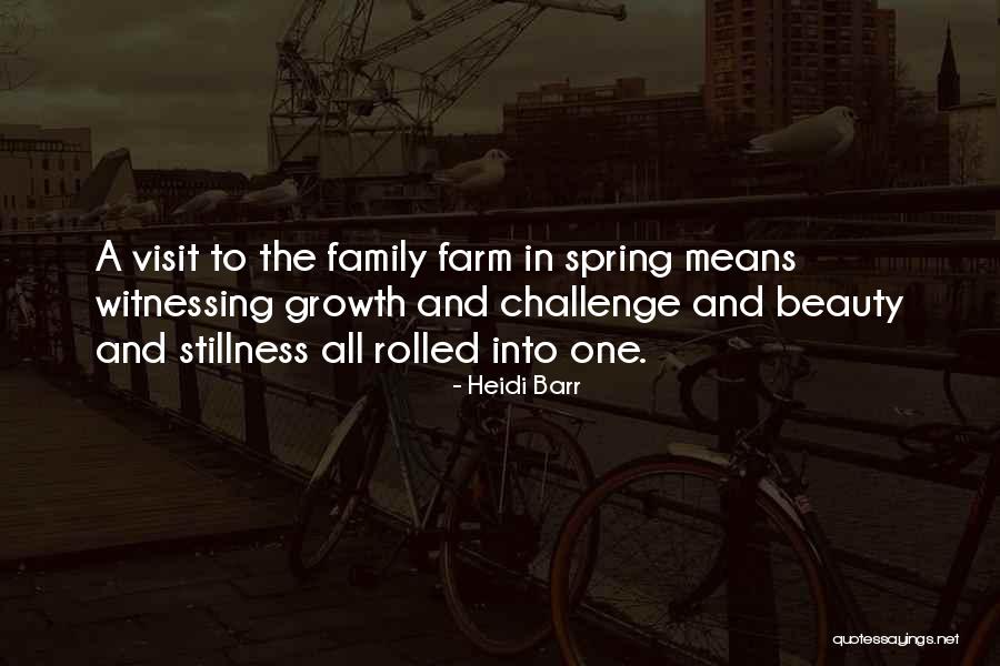 Family Visit Quotes By Heidi Barr