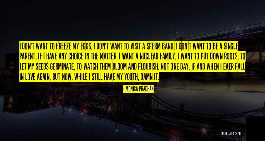 Family Visit Quotes By Monica Pradhan Family Visit Quotes By Monica Pradhan