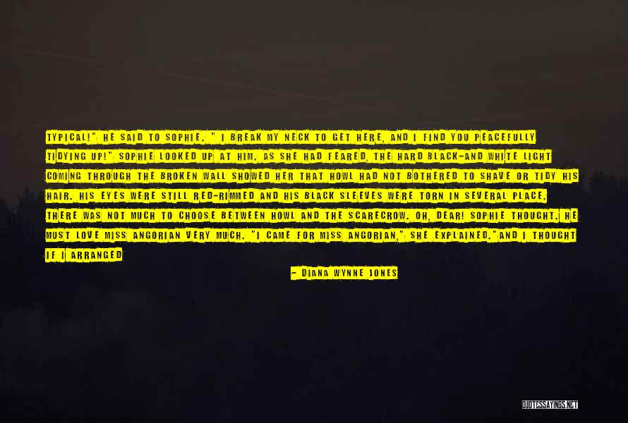 Family Wall Quotes By Diana Wynne Jones Family Wall Quotes By Diana Wynne Jones