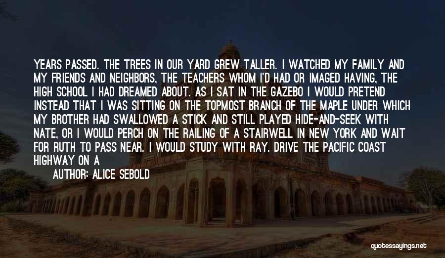Family Watching Over You Quotes By Alice Sebold Family Watching Over You Quotes By Alice Sebold