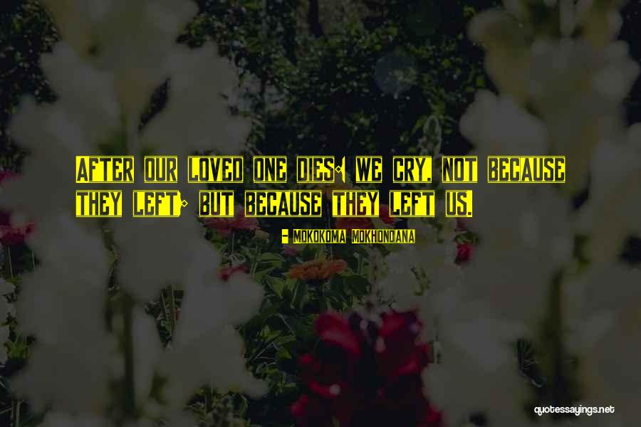 Family When Someone Dies Quotes By Mokokoma Mokhonoana