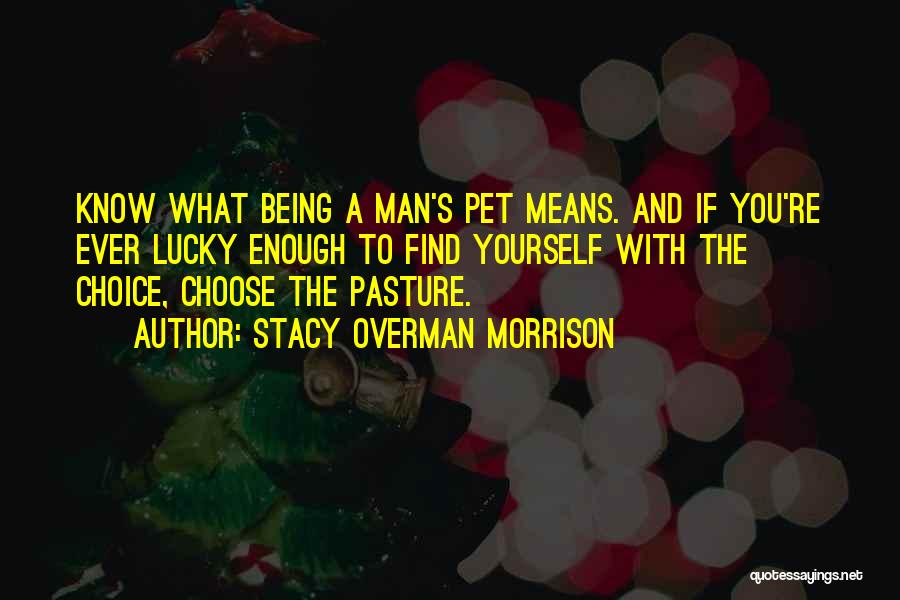 Family You Choose Quotes By Stacy Overman Morrison