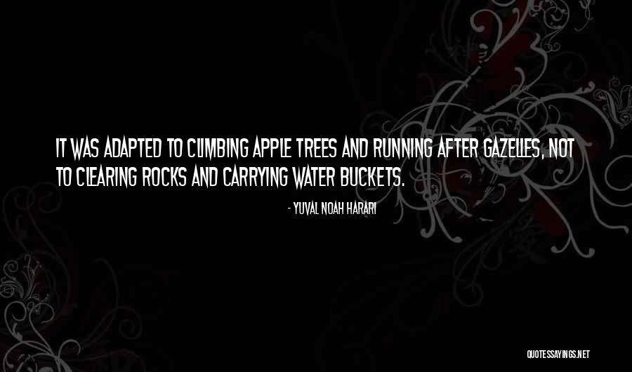 Famous Alexandre Dumas Quotes By Yuval Noah Harari Famous Alexandre Dumas Quotes By Yuval Noah Harari