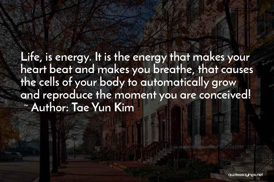 Famous And Inspirational Quotes By Tae Yun Kim