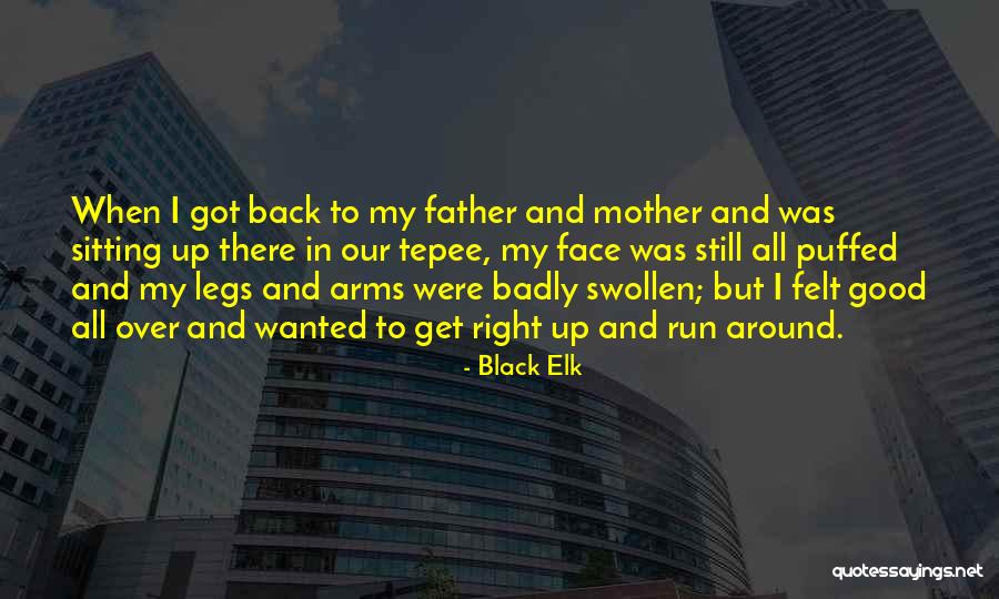 Famous Anti Government Quotes By Black Elk Famous Anti Government Quotes By Black Elk