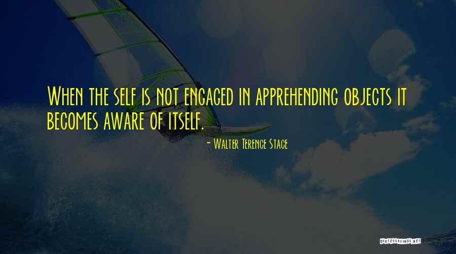 Famous Australian Identity Quotes By Walter Terence Stace Famous Australian Identity Quotes By Walter Terence Stace