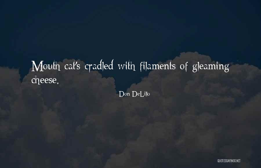 Famous Benedetto Croce Quotes By Don DeLillo