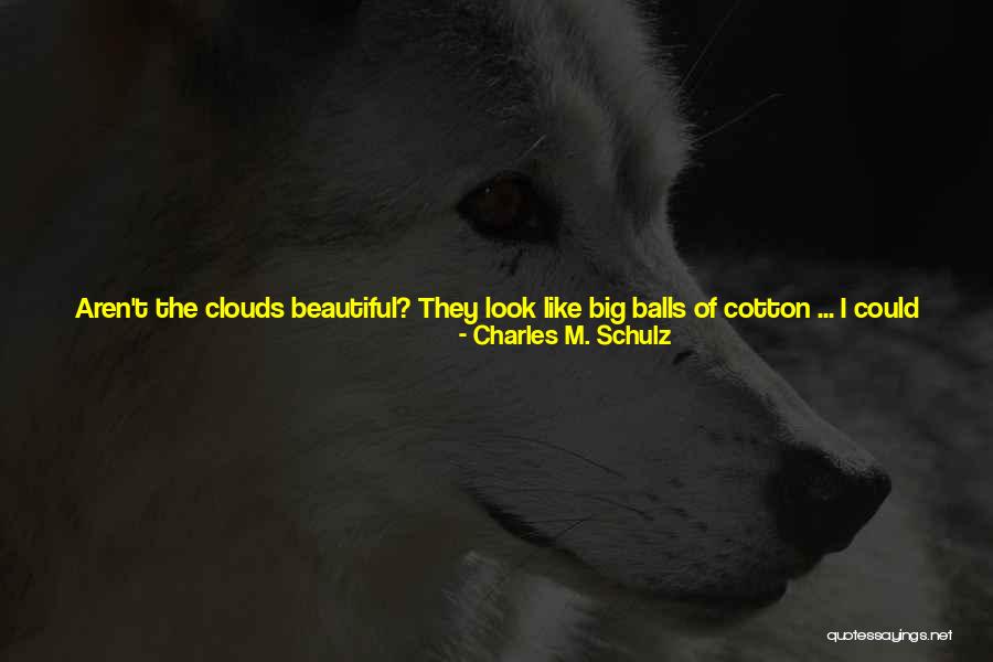Famous Big Quotes By Charles M. Schulz