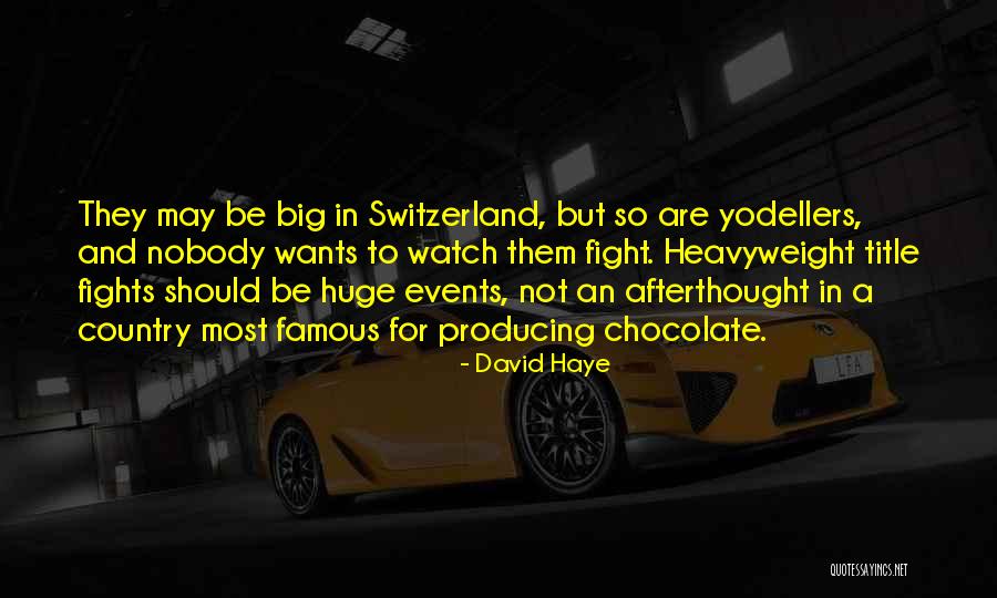Famous Big Quotes By David Haye