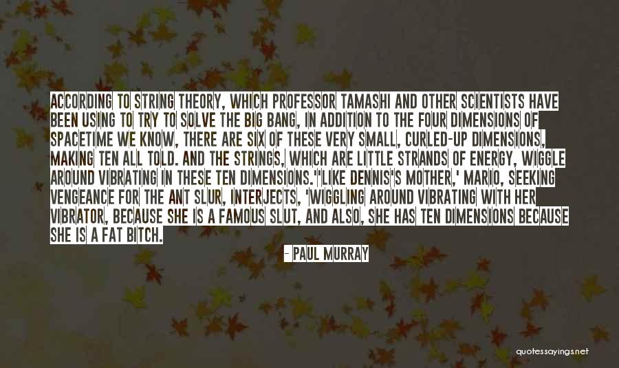 Famous Big Quotes By Paul Murray