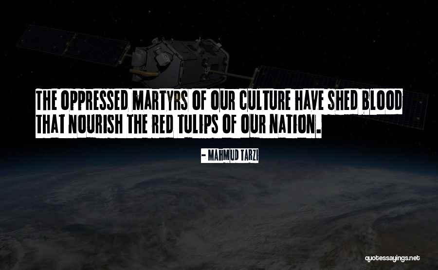 Famous Cardinal Baseball Quotes By Mahmud Tarzi Famous Cardinal Baseball Quotes By Mahmud Tarzi