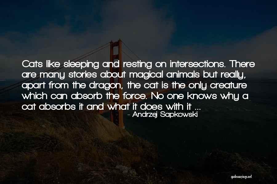 Famous Civil Engineers Quotes By Andrzej Sapkowski Famous Civil Engineers Quotes By Andrzej Sapkowski