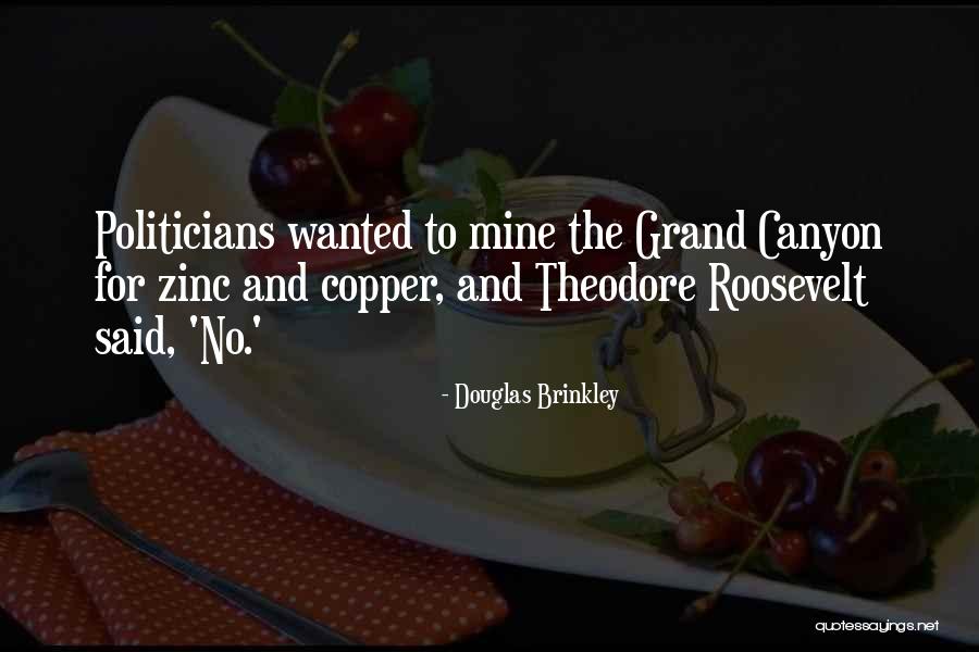 Famous Disc Jockey Quotes By Douglas Brinkley Famous Disc Jockey Quotes By Douglas Brinkley