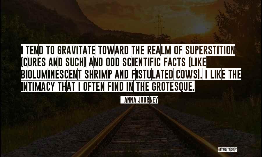 Famous Dissident Quotes By Anna Journey Famous Dissident Quotes By Anna Journey