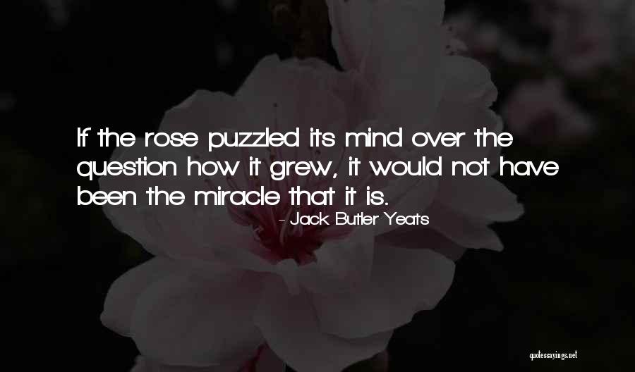 Famous Dog Training Quotes By Jack Butler Yeats Famous Dog Training Quotes By Jack Butler Yeats