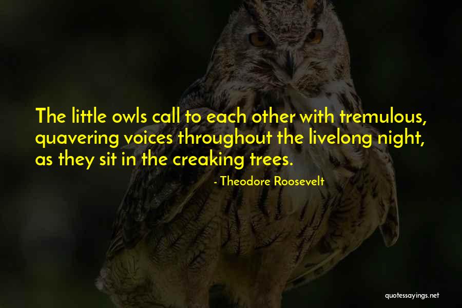 Famous Dunkirk Quotes By Theodore Roosevelt Famous Dunkirk Quotes By Theodore Roosevelt