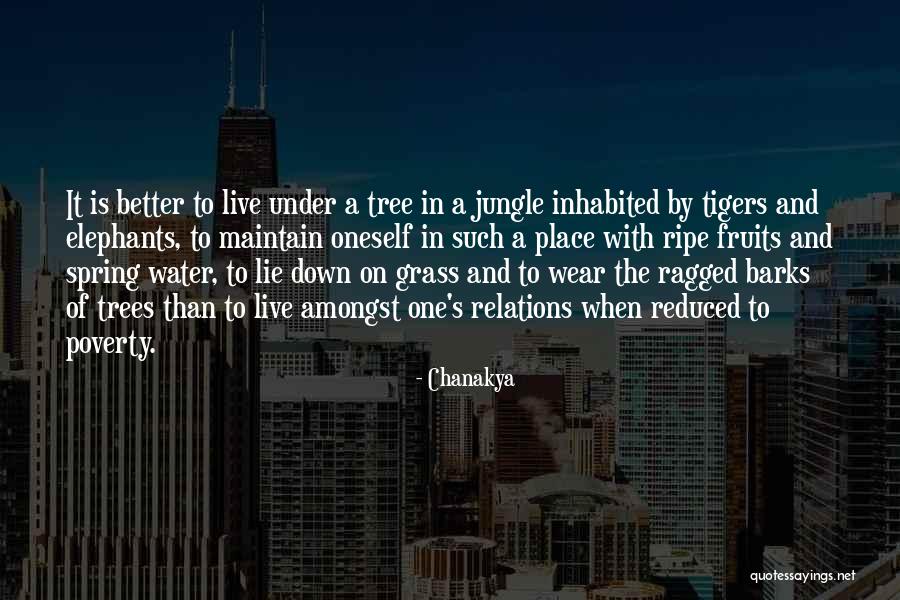 Famous El Chapo Quotes By Chanakya Famous El Chapo Quotes By Chanakya